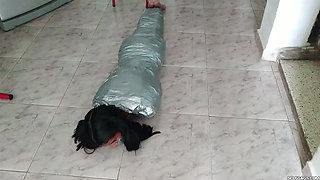 The Egyptian Mummy Project