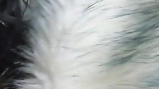 Milfycalla Blowjob in Fur Coats Cum All Over My Expensive Furs