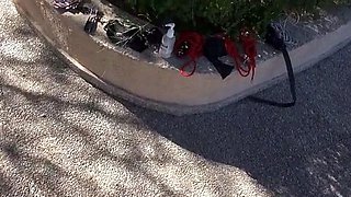 The Bondage Mistress Club - Mistress Miranda - Tree