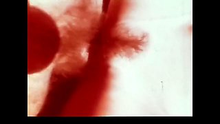 Vintage Porn Retro Erotic Theatre - Dessert Fruit With Retro Vintage