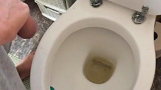Pissing in the Toilet Compilation