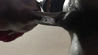Sloppy Blowjob