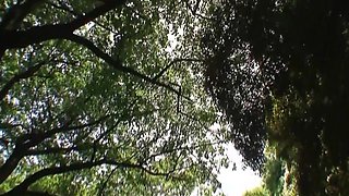 My Neighbors Hot Asian Wifes Compilation