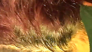 Sex with Hot Wife Wide Pussy Fuck Cum on Pussy