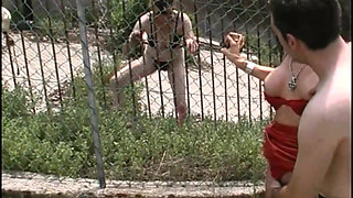 Kinky Neighbors: Pissing, Submission, Blowjobs, and Backyard Sex