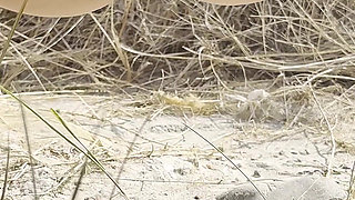 Public Pissing Compilation in Nature! a Road Trip! POV!