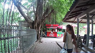 Crocodiles munching and Thai GF cumming