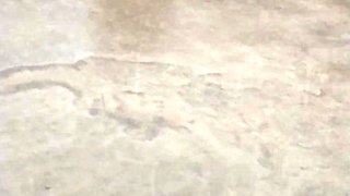 Rain Sex
