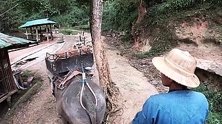 Elephant ride in Thailand with two teens