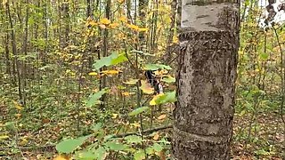 Blonde Loren Strawberry Gets Fucked Hard in the Forest - Doggystyle & Cumshot
