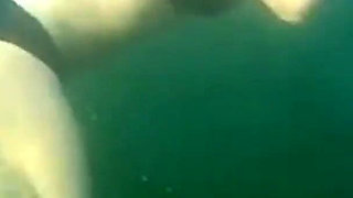 Swimming and Flashing in the Sea