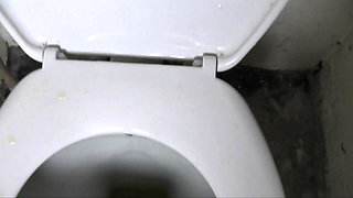 Toilet Slave