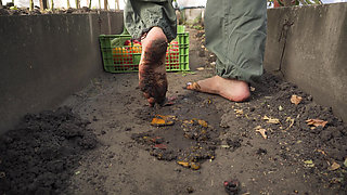 Squashing Tomatoes Barefoot In The Dirt ASMR