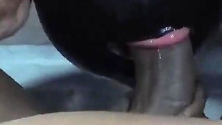 This Big Ass Pig Loves Being Her Owner's Sex Slave