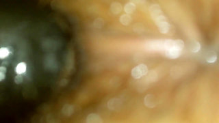 Close-up Machine Fucking Her Tomwoods2020