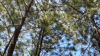An Oral From My Girlfriend in the Forest