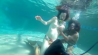 Blackwidow 4 The Penis Forever Popular