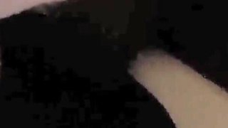 Real Homemade Hot Bisexual Threesome, Wife and Husband Sharing Cock, Socuking Together