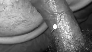 Ass With A Shot Of Pussy