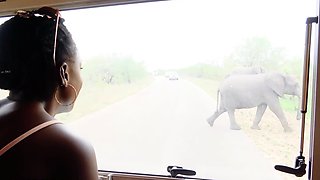 Big Tits Black Babe Plays With Her Clit