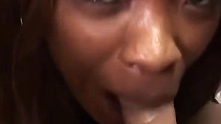 African Flowers Are Very Greedy and Intense