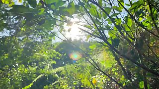 Nature trip then fuck