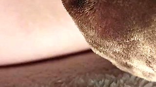 Fuck her while sleeping