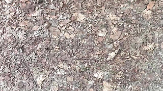 Punishment in the Forest...