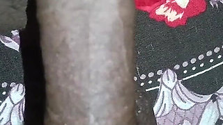 Pregnant bhabhi's fuck