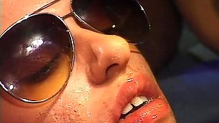 Italian Swallow