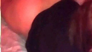 They Cum, They Don't Stop, Compilation