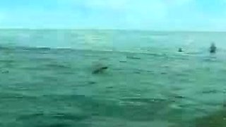 Blonde emo amateur solo masturbation