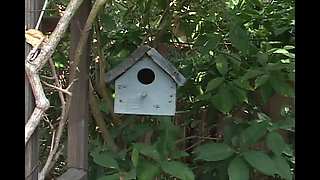 This Bitch Loves to Suck on Dicks and Swallow Cum