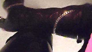 Full Latex Moments Before I Fuck Your Pussy with My Strap-on - Mistress Julia