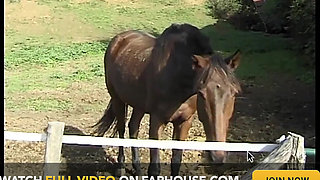 The Anal Desires of a Slut in Heat