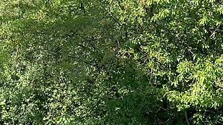 Russian Wife Indy Lix Takes BBC in the Forest