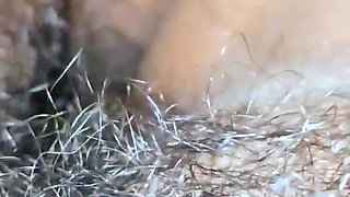 Village bhabhi hardcor sex romance