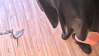 6'7 Tall Gothic Giantess Trample POV: Boots Crush - Socks - Barefoot Face Sit & Toe Suck