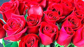 Big ass anal action with Desi Mazaa from Bangladesh