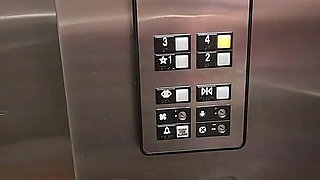 Naughty Elevator Ride Will She Get Caught?