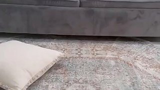 Auhneesh Nicole Big Booty Gets Ass Oiled and Fucked