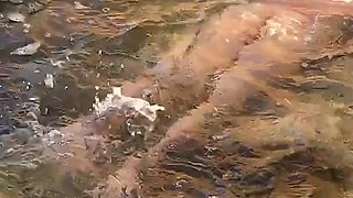 Swimming Naked in Cyprus