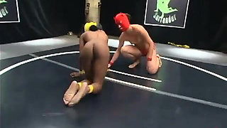 Yellow Kitty and Crimson Ninja