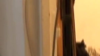 Huge White Cock Fucks a Mature Upper-class Woman in the Ass
