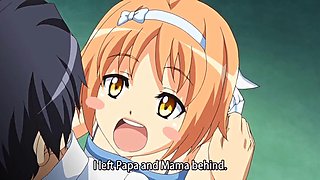 Tropica: Blowjob, Big Tits  Pornhub Porn