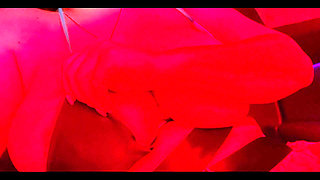 Big Areola Titty Flash Ft. Curvy Dani Valentina