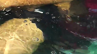 Hot Pool Romance with Boobs Press and Ass Romance