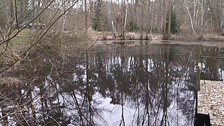 Titspanking in real nature