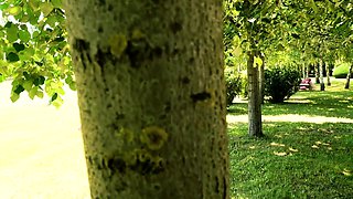 Cumshot for brunette after pov blowjob