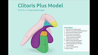 ! Sex Education! How to Please a Woman! Clitoris Tutorial - Mr Pussylicking